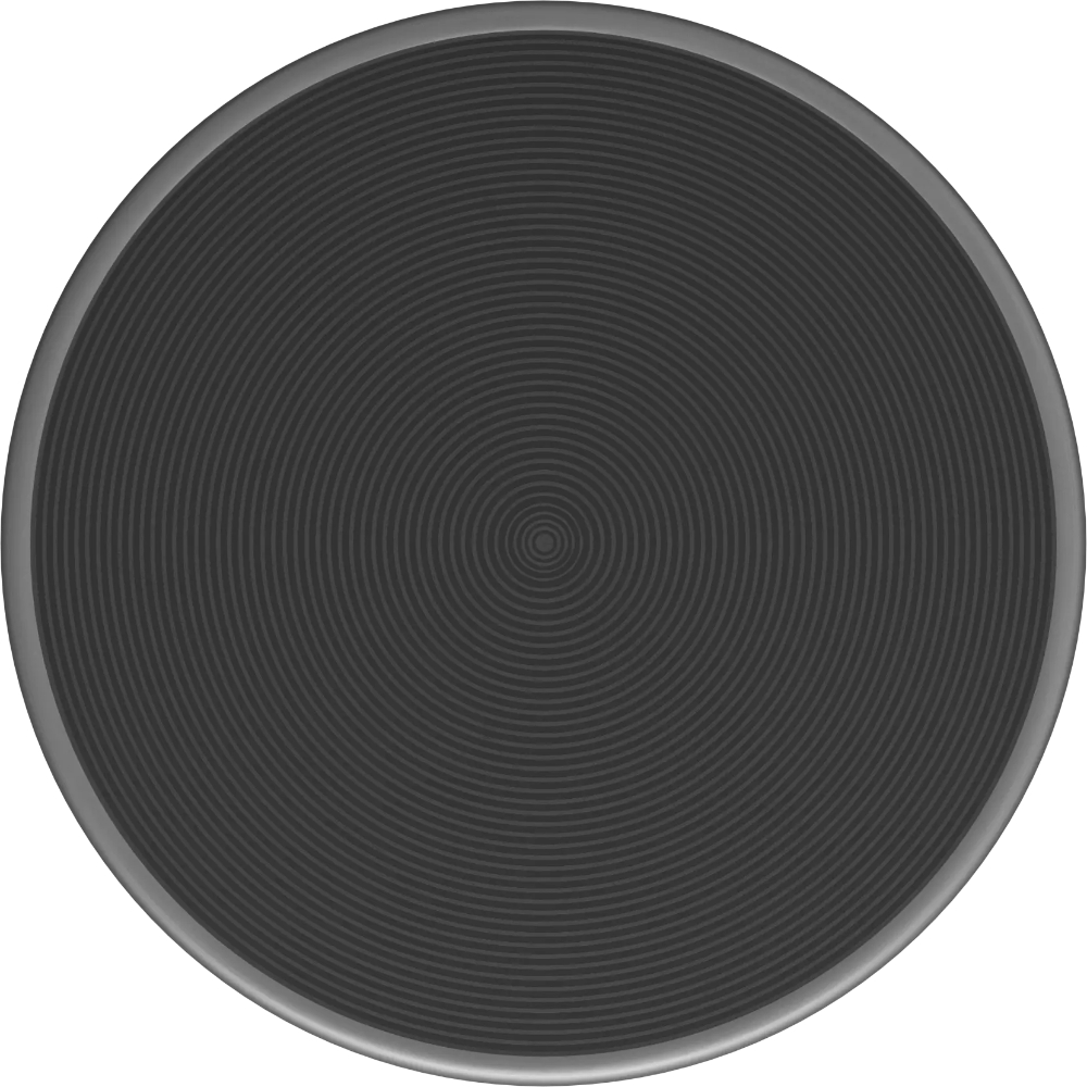 Переключатель поворотный для варочных панелей Neff Z9801TWAY0 Anthracite Grey, антрацит в TehnoAdept
